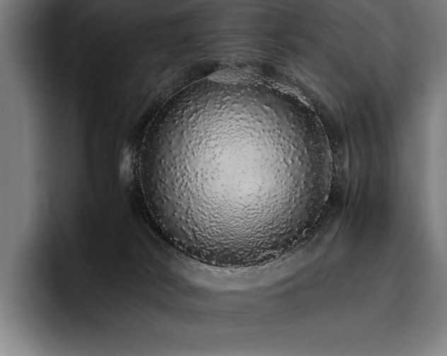 X0000093530038200710121607