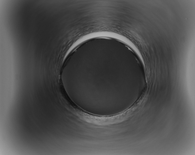 X0000093530039200710121607
