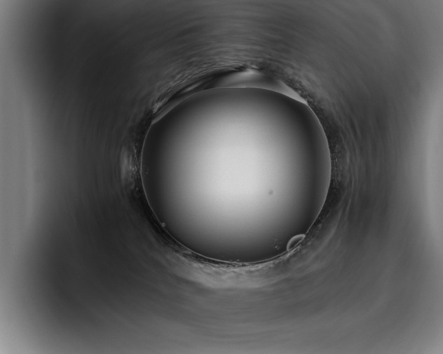 X0000093530040200710121607