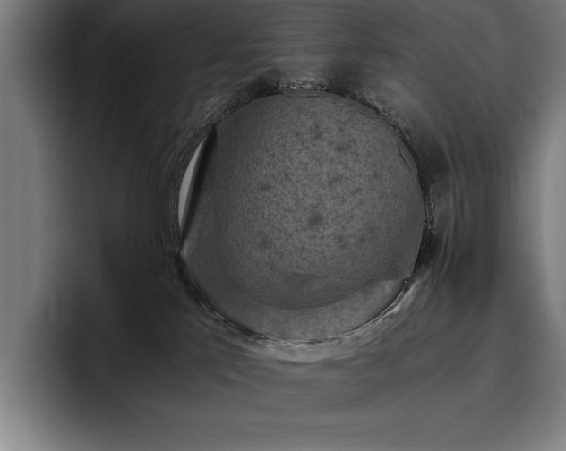 X0000093530041200710121607