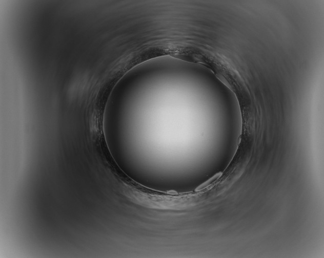 X0000093530044200710121607