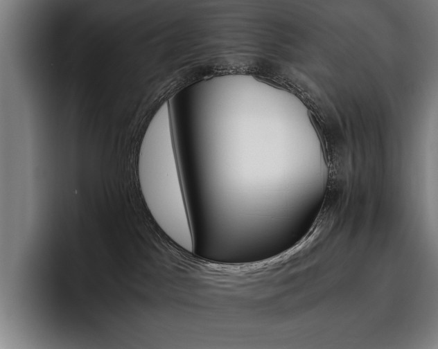 X0000093530045200710121607