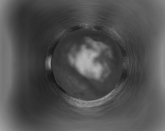 X0000093530047200710121607