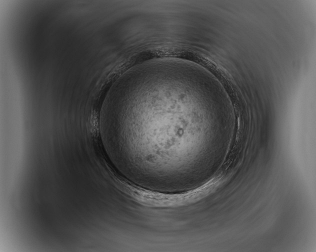 X0000093530048200710121607