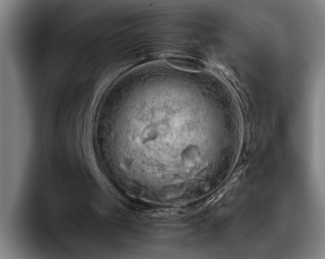 X0000093530049200710121606