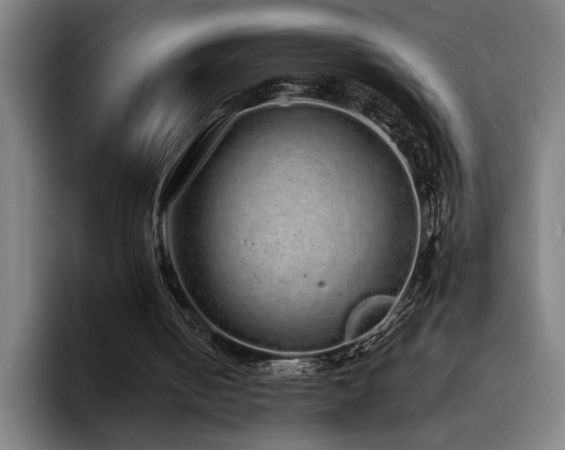 X0000093530050200710121606