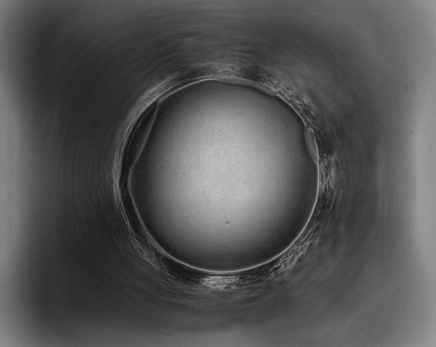 X0000093530051200710121606