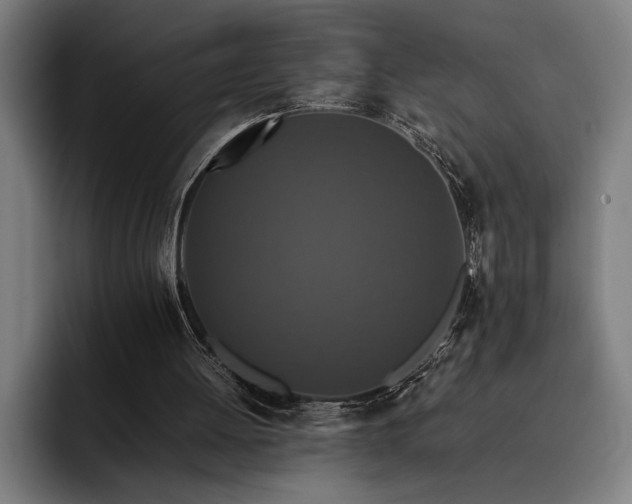 X0000093530052200710121606