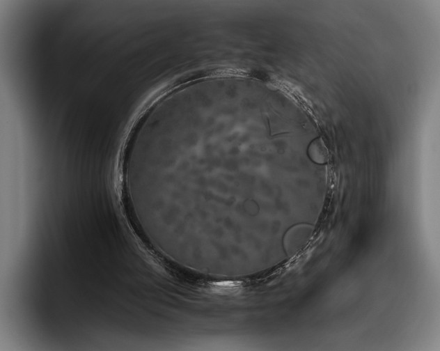 X0000093530053200710121606