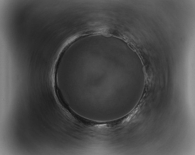 X0000093530054200710121606
