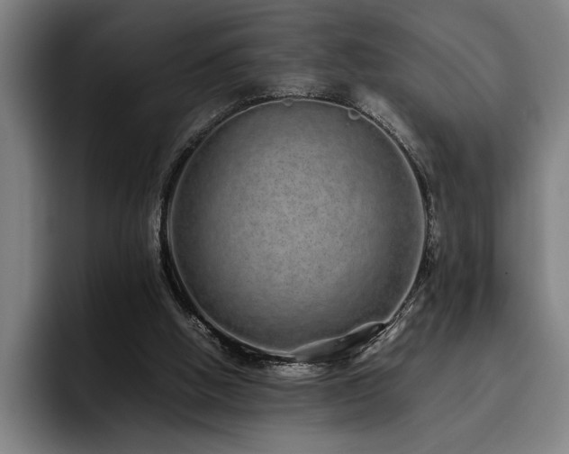 X0000093530058200710121606
