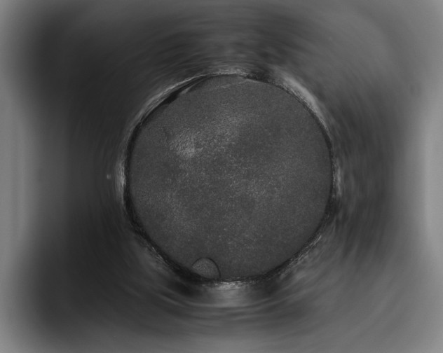 X0000093530059200710121606