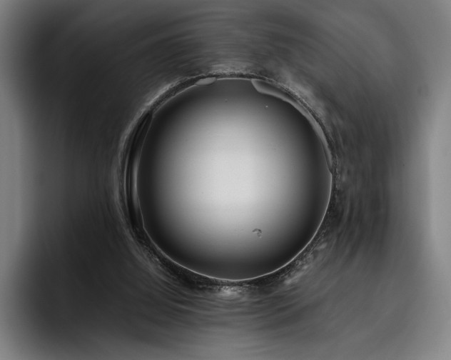 X0000093530060200710121606