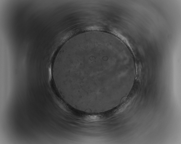 X0000093530061200710121606