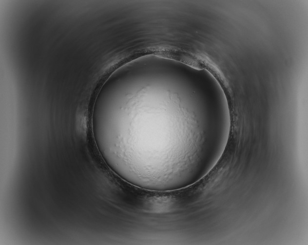 X0000093530063200710121606