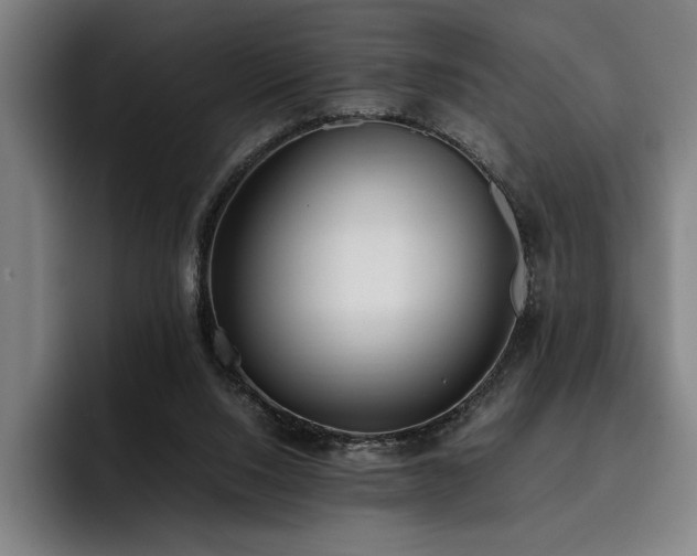X0000093530064200710121607