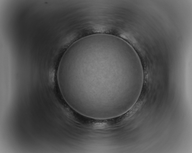 X0000093530066200710121607