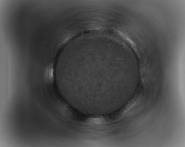 X0000093530067200710121607