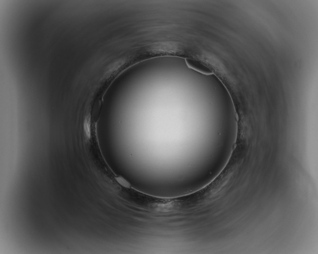 X0000093530068200710121607