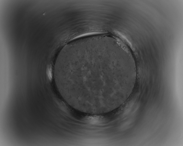 X0000093530069200710121607