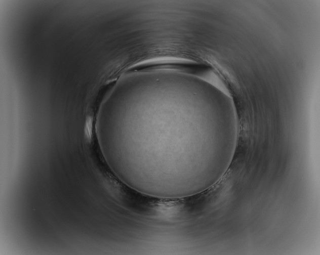 X0000093530070200710121607