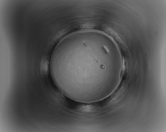 X0000093530071200710121607