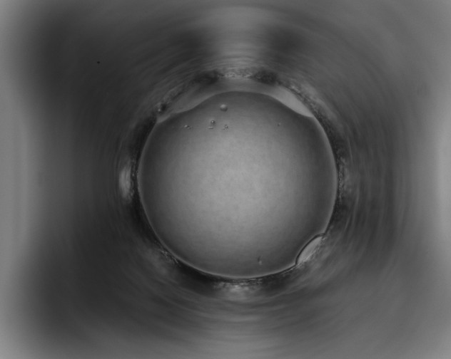 X0000093530074200710121607