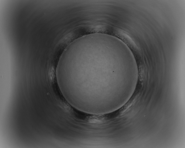 X0000093530077200710121607