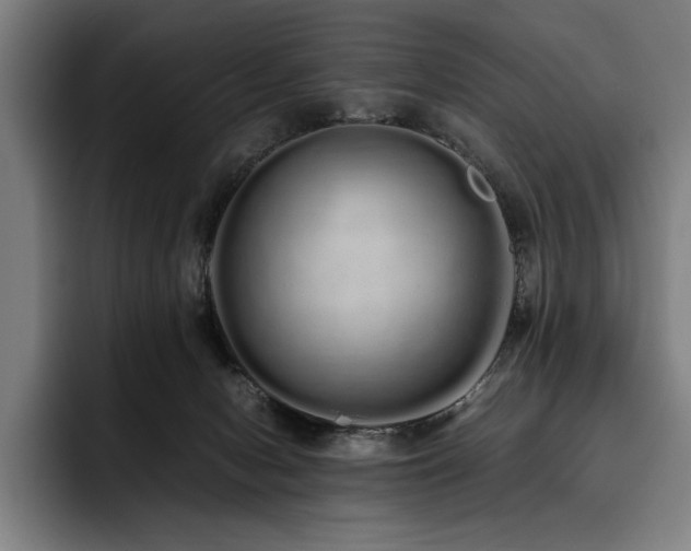 X0000093530078200710121607