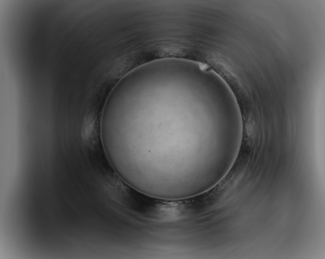 X0000093530079200710121607