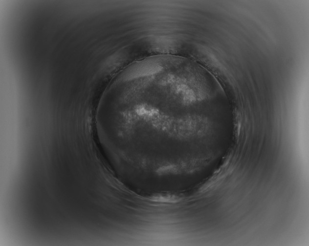 X0000093530080200710121607