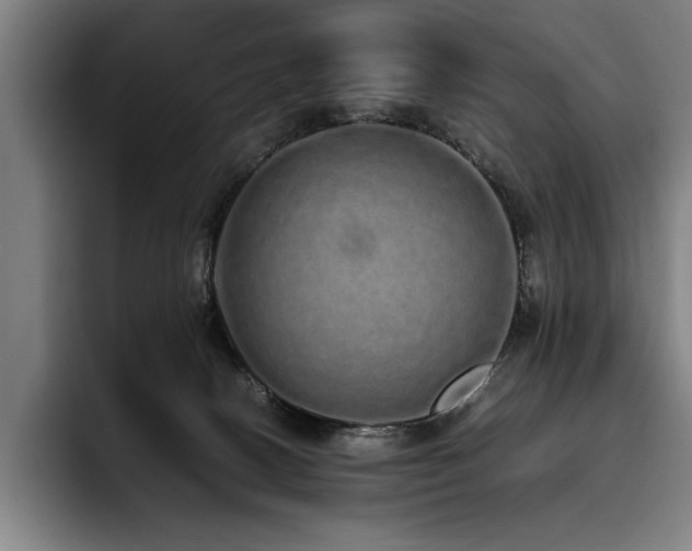 X0000093530082200710121607