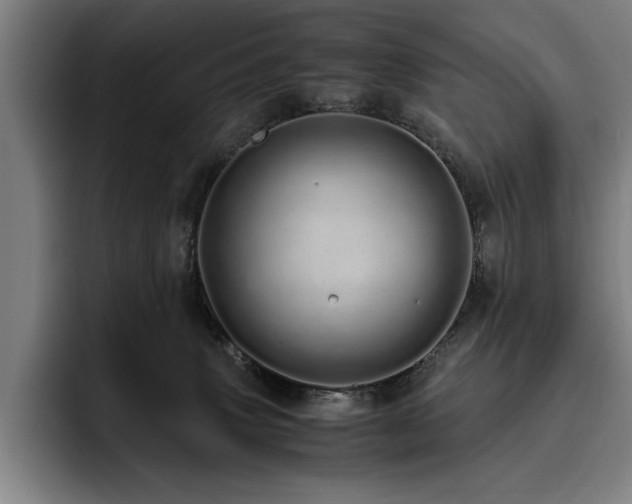 X0000093530083200710121607
