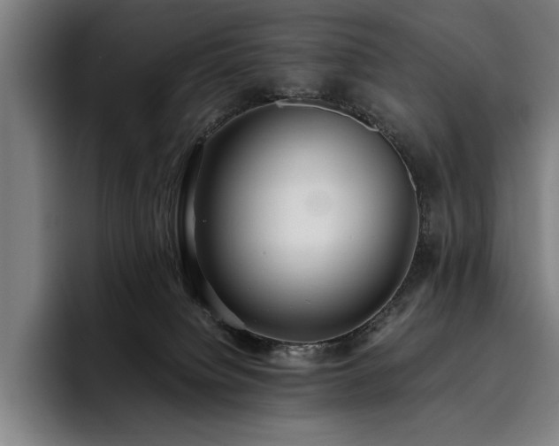 X0000093530084200710121607