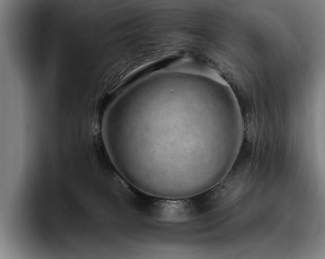 X0000093530085200710121607
