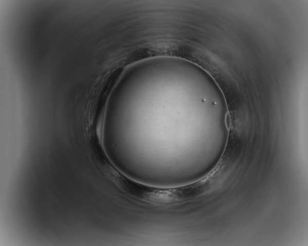 X0000093530086200710121607