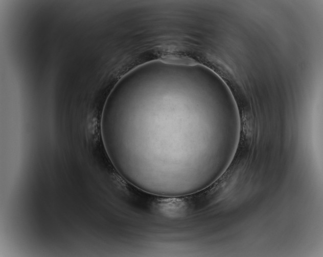 X0000093530087200710121607