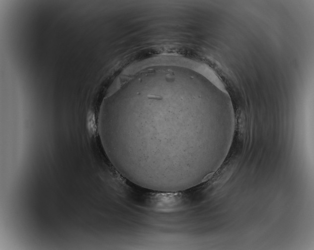 X0000093530089200710121607