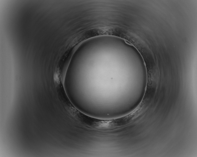 X0000093530090200710121607
