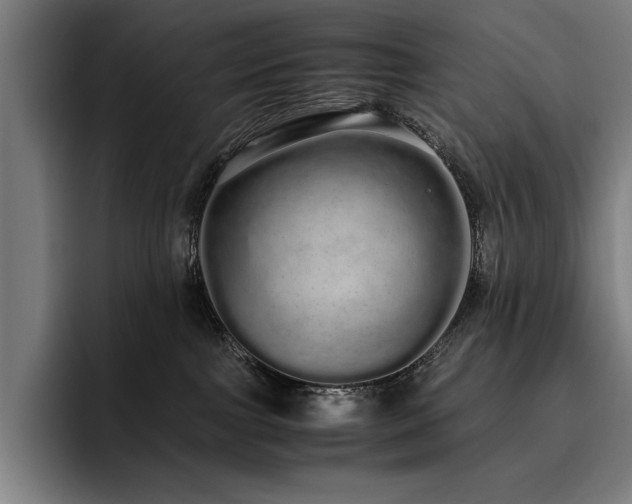 X0000093530091200710121607