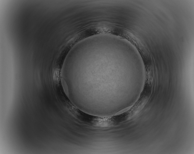 X0000093530093200710121607