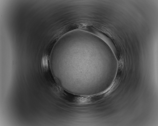 X0000093530094200710121607