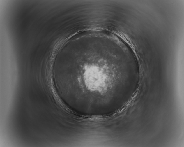 X0000093530097200710121606
