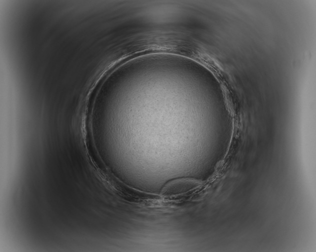 X0000093530098200710121606