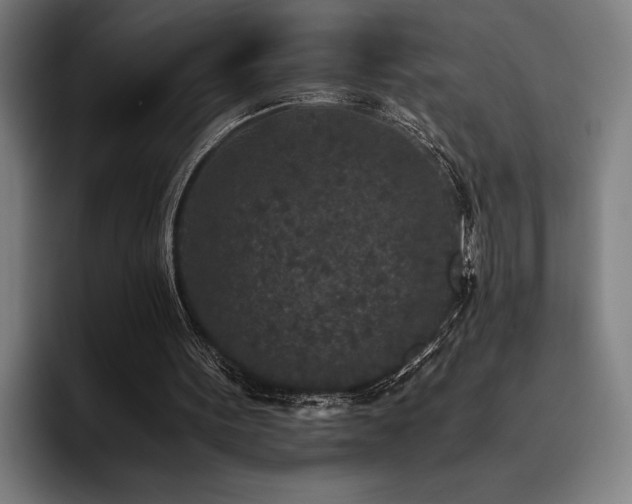 X0000093530099200710121606