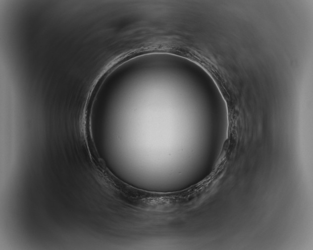 X0000093530100200710121606