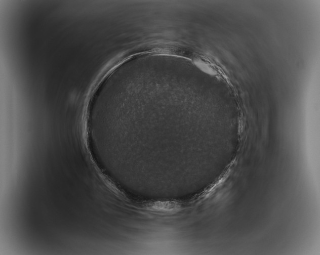 X0000093530101200710121606