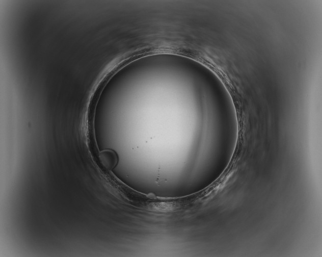 X0000093530102200710121606