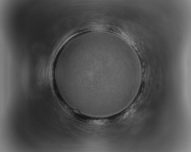 X0000093530103200710121606