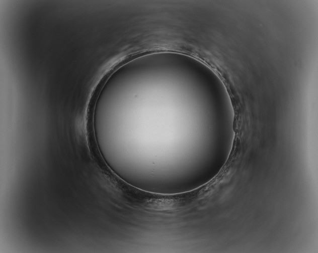 X0000093530104200710121606